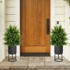 2-Pack Artificial Cedar Topiary Ball Tree with Cement Pot